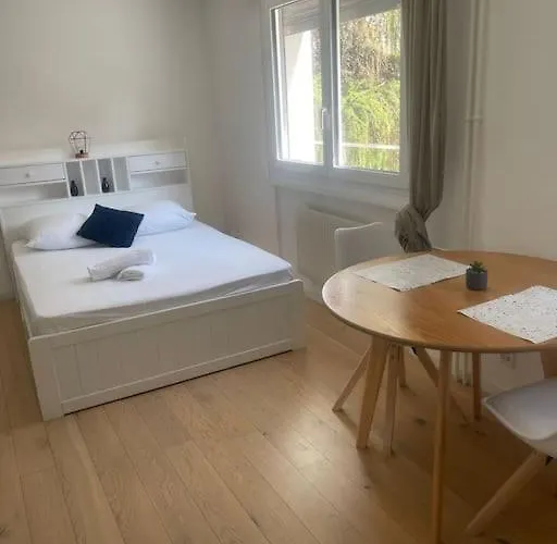 Au Centre De ! Apartment *